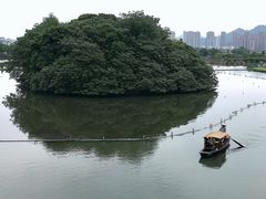 -三垟湿地