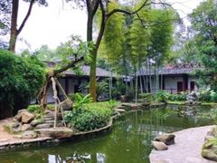 -南山植物园