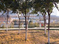 -西安汉城湖景区