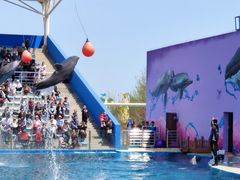 -北戴河圣蓝海洋公园