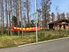 -上海长兴岛郊野公园