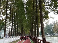 -蜀绣公园