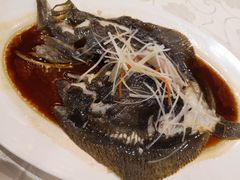 清蒸多宝鱼（斤）-东兴楼饭庄(六里桥店)