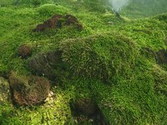 -上海植物园-4号门售票处