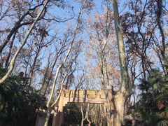 -灵谷景区