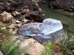 -九龙江国家森林公园