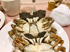 清蒸大闸蟹-王宝和酒家(黄浦店)