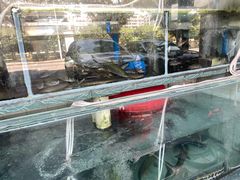 -山坑河鲜(昆仲楼店)