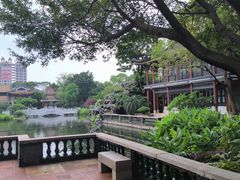 -顺峰山公园