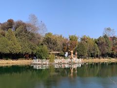 -蝴蝶泉公园