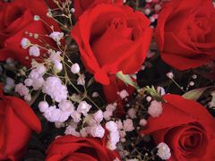 -万卉源鲜花店(百尚生活广场店)