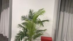 -Deeplus+韩国皮肤管理한국피부관리·C:Lab肌肤实验室