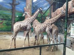 -鄂尔多斯野生动物园