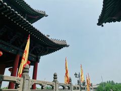 -大槐树寻根祭祖园