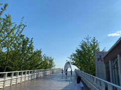 -大兴滨河森林公园