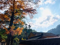 -九华山风景区
