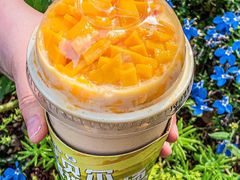 -茉酸奶(春熙路店)