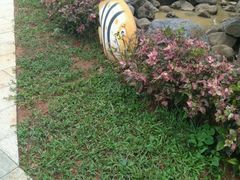 -清水湾3号(东方小周海鲜店)