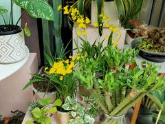 -OT另茶(上海幸福里店)