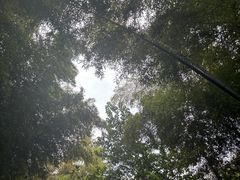 -天目湖涵田半山温泉
