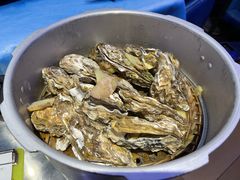 -千岛蚝高压锅生蚝·人参火锅(白云万达店)