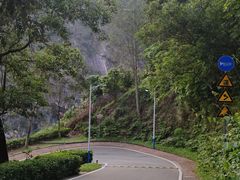 -火炉山森林公园