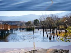 -洱海月湿地公园