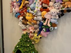 -有喵·猫咖·狗咖·30几只猫10只小狗(岗厦店)