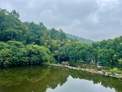 -九龙潭景区