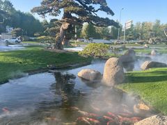 -罗红摄影艺术馆