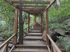 -大岭沟猕猴桃谷风景区