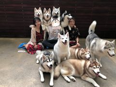 -TrueLove @ Neverland (Husky Cafe)