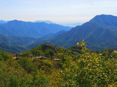 -大岭沟猕猴桃谷风景区