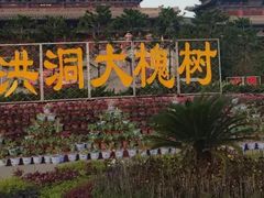 -大槐树寻根祭祖园