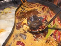 -阳阳老火锅(小南门店)