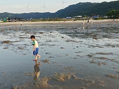 -张家卫·阳江菜·小海鲜(肥婆湾桥店)