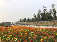 -秀丽东方