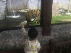 -清迈夜间动物园