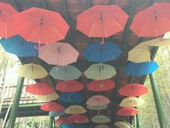 -陶祖圣境风景区