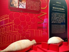 -广西壮族自治区博物馆