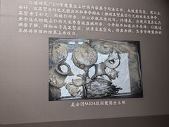 -荆州博物馆