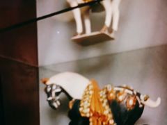 -粤财皇冠假日酒店·彩华轩中餐厅