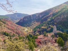 -龙洞风景区-藏龙涧