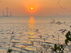 -宝安西湾红树林湿地公园