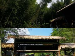 -宁波浙东大竹海景区