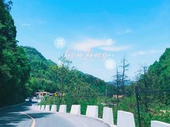 -秦岭风景区
