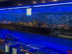 -渔傅印象滩涂霞浦海鲜(井大路店)