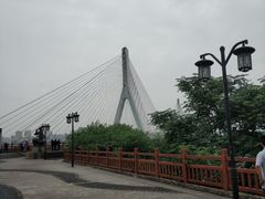 -大渡口区义渡公园