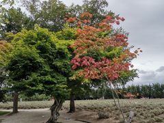 -富田农场