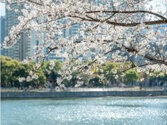 -西北湖绿化广场